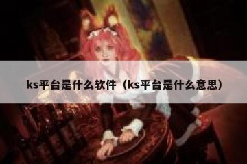 ks平台是什么软件（ks平台是什么意思）