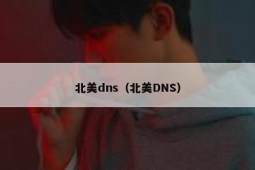 北美dns（北美DNS）