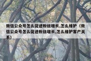 微信公众号怎么促进粉丝增长,怎么维护（微信公众号怎么促进粉丝增长,怎么维护客户关系）