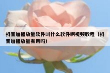 抖音加播放量软件叫什么软件啊视频教程（抖音加播放量有用吗）