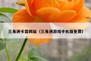 三角洲卡盟网站（三角洲游戏手机版免费）