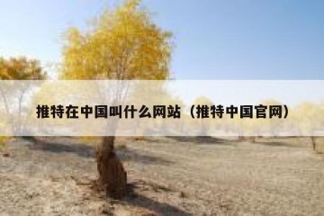 推特在中国叫什么网站（推特中国官网）