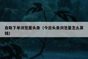 自助下单浏览量头条（今日头条浏览量怎么算钱）
