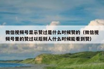 微信视频号显示赞过是什么时候赞的（微信视频号里的赞过以后别人什么时候能看到赞）