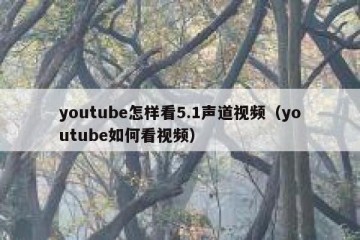 youtube怎样看5.1声道视频（youtube如何看视频）