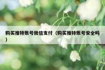 购买推特账号微信支付（购买推特账号安全吗）