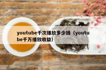 youtube千次播放多少钱（youtube千万播放收益）