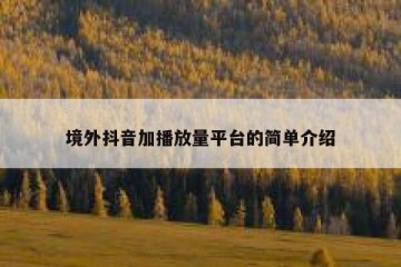 境外抖音加播放量平台的简单介绍