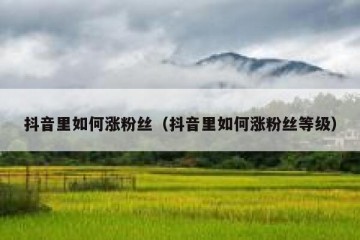 抖音里如何涨粉丝（抖音里如何涨粉丝等级）