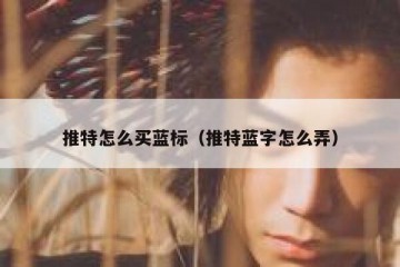 推特怎么买蓝标（推特蓝字怎么弄）
