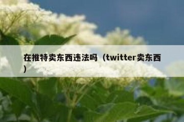 在推特卖东西违法吗（twitter卖东西）