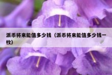 派币将来能值多少钱（派币将来能值多少钱一枚）