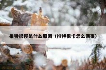 推特很慢是什么原因（推特很卡怎么回事）
