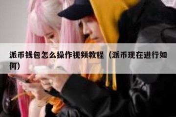 派币钱包怎么操作视频教程（派币现在进行如何）