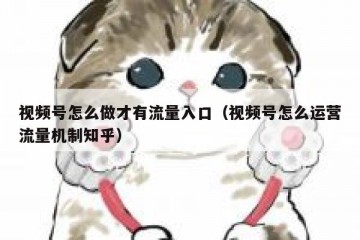 视频号怎么做才有流量入口（视频号怎么运营流量机制知乎）