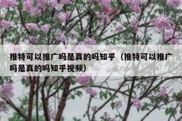 推特可以推广吗是真的吗知乎（推特可以推广吗是真的吗知乎视频）