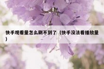 快手观看量怎么刷不到了（快手没法看播放量）