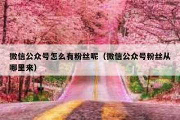 微信公众号怎么有粉丝呢（微信公众号粉丝从哪里来）