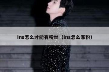 ins怎么才能有粉丝（ins怎么涨粉）