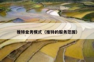 推特业务模式（推特的服务范围）