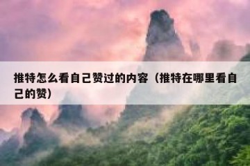 推特怎么看自己赞过的内容（推特在哪里看自己的赞）