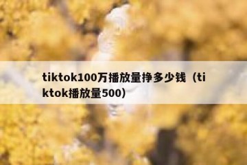 tiktok100万播放量挣多少钱（tiktok播放量500）