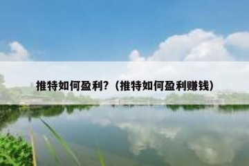 推特如何盈利?（推特如何盈利赚钱）