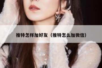 推特怎样加好友（推特怎么加微信）