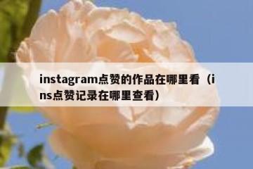 instagram点赞的作品在哪里看（ins点赞记录在哪里查看）