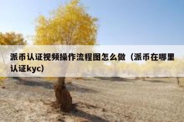 派币认证视频操作流程图怎么做（派币在哪里认证kyc）