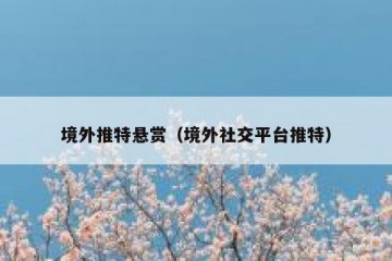 境外推特悬赏（境外社交平台推特）