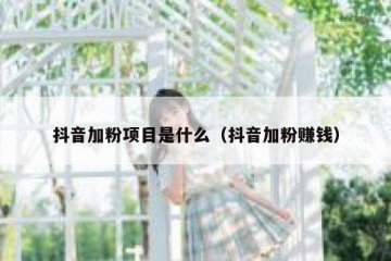 抖音加粉项目是什么（抖音加粉赚钱）