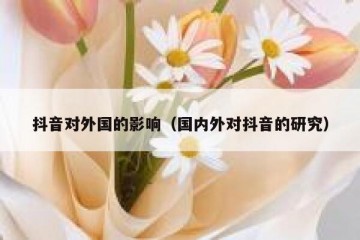 抖音对外国的影响（国内外对抖音的研究）