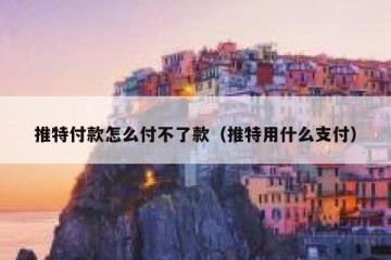 推特付款怎么付不了款（推特用什么支付）