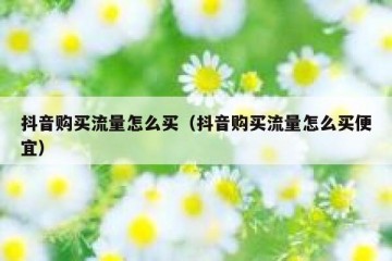 抖音购买流量怎么买（抖音购买流量怎么买便宜）