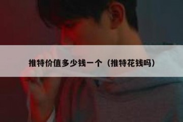 推特价值多少钱一个（推特花钱吗）