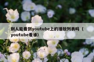 别人能看到youtube上的播放列表吗（youtube看谁）
