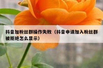 抖音加粉丝群操作失败（抖音申请加入粉丝群被拒绝怎么显示）