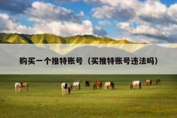 购买一个推特账号（买推特账号违法吗）