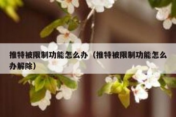 推特被限制功能怎么办（推特被限制功能怎么办解除）