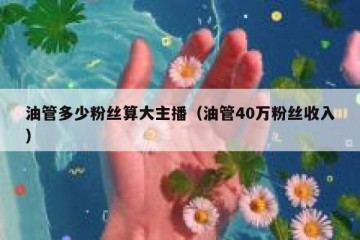 油管多少粉丝算大主播（油管40万粉丝收入）