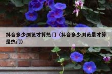 抖音多少浏览才算热门（抖音多少浏览量才算是热门）