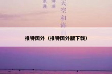 推特国外（推特国外版下载）