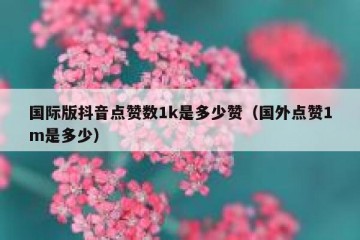 国际版抖音点赞数1k是多少赞（国外点赞1m是多少）