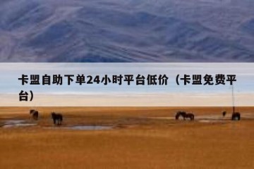 卡盟自助下单24小时平台低价（卡盟免费平台）