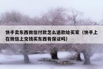 快手卖东西微信付款怎么退款给买家（快手上在微信上交钱买东西有保证吗）