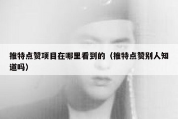 推特点赞项目在哪里看到的（推特点赞别人知道吗）
