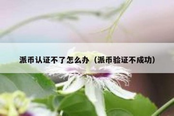 派币认证不了怎么办（派币验证不成功）
