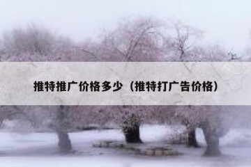 推特推广价格多少（推特打广告价格）