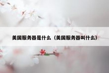 美国服务器是什么（美国服务器叫什么）